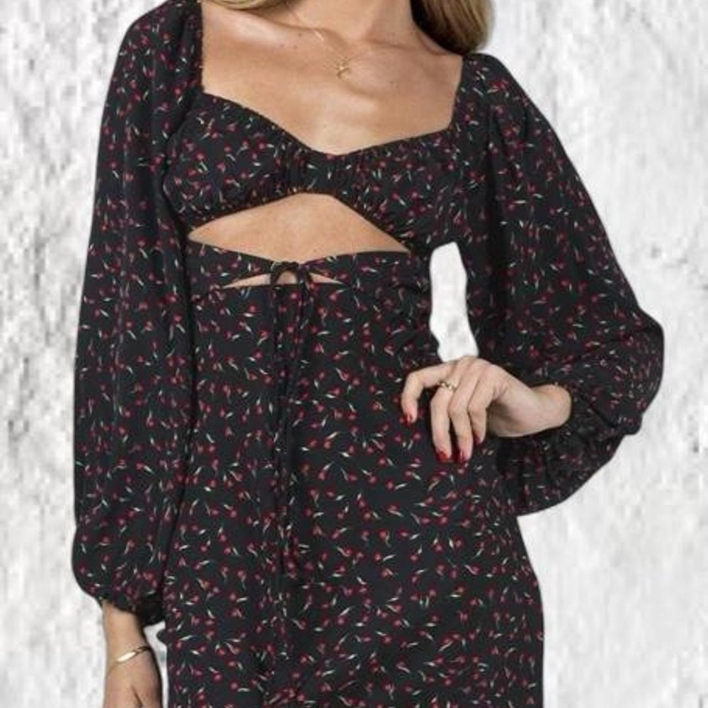 Princess Polly Floral Puff Sleeve Mini Dress Black Red Rosebud Size 6